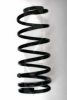 SPIDAN 49607 Coil Spring